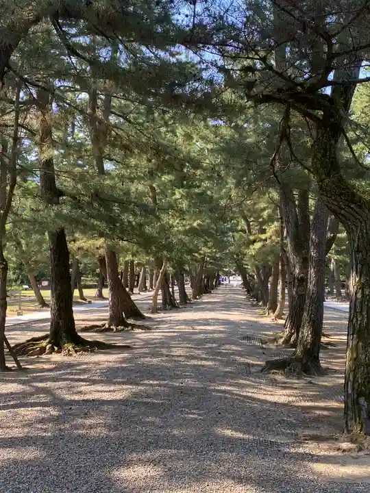 出雲大社(島根県)