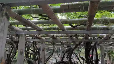 越ヶ谷久伊豆神社(埼玉県)