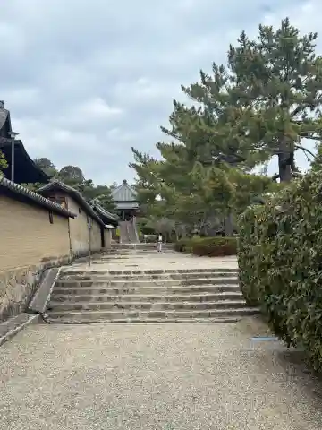 法隆寺 西円堂の{uncategorized: "未分類", other: "その他", undefined: "問題あり", building: "その他建物", grave: "お墓", sacred_gate: "鳥居", guardian: "狛犬", statue: "像", buddha: "仏像", history: "歴史", nature: "自然", garden: "庭園", animal: "動物", pagoda: "塔", temizu: "手水舎", mountain_gate: "山門・神門", sanctuary: "本殿・本堂", subordinate: "末社・摂社", art: "芸術", scenery: "景色", jizo: "地蔵", ema: "絵馬", goshuin: "御朱印", omikuji: "おみくじ", items: "授与品その他", amulet: "お守り", goshuincho: "御朱印帳", eats: "食事", festival: "お祭り", votive_dance: "神楽", shichigosan: "七五三参", wedding: "結婚式", experience: "体験その他", initially: "初詣", around: "周辺", anti_infection: "感染症対策"}