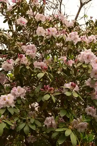 正福寺(茨城県)