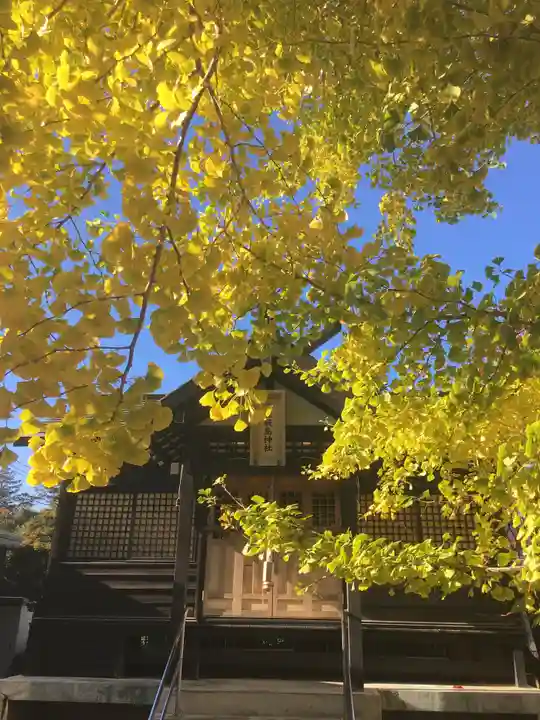 福住厳島神社の自然
