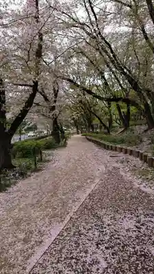 増上寺塔頭 三縁山 宝珠院の周辺