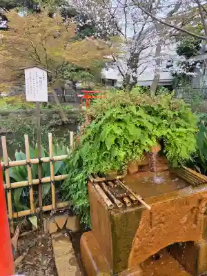 瀧泉寺（目黒不動尊）の{uncategorized: "未分類", other: "その他", undefined: "問題あり", building: "その他建物", grave: "お墓", sacred_gate: "鳥居", guardian: "狛犬", statue: "像", buddha: "仏像", history: "歴史", nature: "自然", garden: "庭園", animal: "動物", pagoda: "塔", temizu: "手水舎", mountain_gate: "山門・神門", sanctuary: "本殿・本堂", subordinate: "末社・摂社", art: "芸術", scenery: "景色", jizo: "地蔵", ema: "絵馬", goshuin: "御朱印", omikuji: "おみくじ", items: "授与品その他", amulet: "お守り", goshuincho: "御朱印帳", eats: "食事", festival: "お祭り", votive_dance: "神楽", shichigosan: "七五三参", wedding: "結婚式", experience: "体験その他", initially: "初詣", around: "周辺", anti_infection: "感染症対策"}