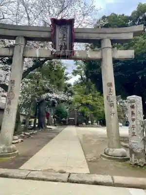 駒込富士神社(東京都)