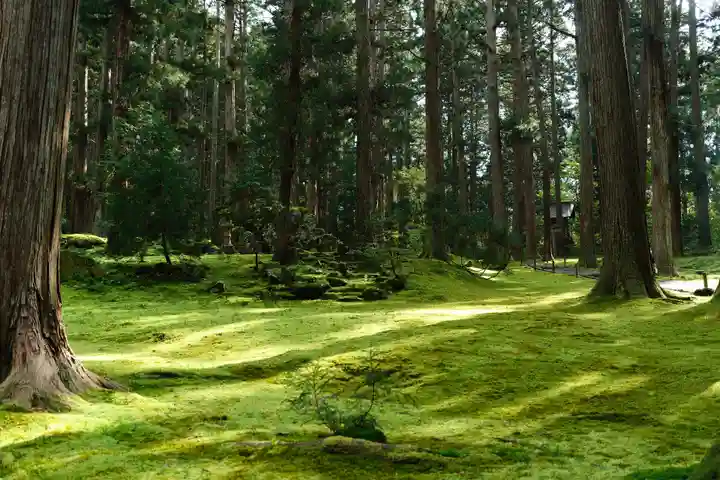 平泉寺白山神社(福井県)