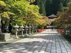 高野山金剛峯寺奥の院(和歌山県)