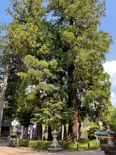 足助八幡宮(愛知県)