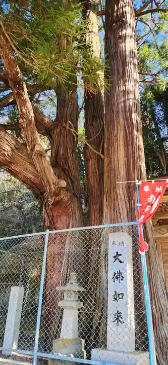 富沢磨崖仏郡(宮城県)