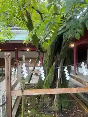 笠間稲荷神社(茨城県)