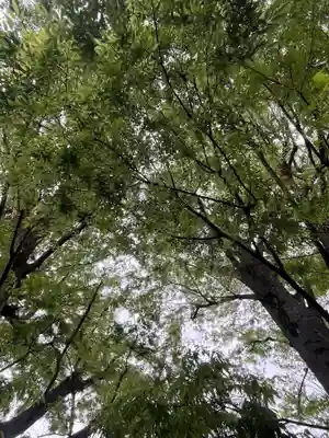 前川神社(埼玉県)