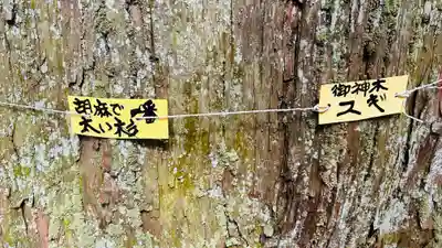 日吉神社(京都府)
