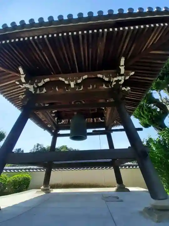 光徳寺の{uncategorized: "未分類", other: "その他", undefined: "問題あり", building: "その他建物", grave: "お墓", sacred_gate: "鳥居", guardian: "狛犬", statue: "像", buddha: "仏像", history: "歴史", nature: "自然", garden: "庭園", animal: "動物", pagoda: "塔", temizu: "手水舎", mountain_gate: "山門・神門", sanctuary: "本殿・本堂", subordinate: "末社・摂社", art: "芸術", scenery: "景色", jizo: "地蔵", ema: "絵馬", goshuin: "御朱印", omikuji: "おみくじ", items: "授与品その他", amulet: "お守り", goshuincho: "御朱印帳", eats: "食事", festival: "お祭り", votive_dance: "神楽", shichigosan: "七五三参", wedding: "結婚式", experience: "体験その他", initially: "初詣", around: "周辺", anti_infection: "感染症対策"}