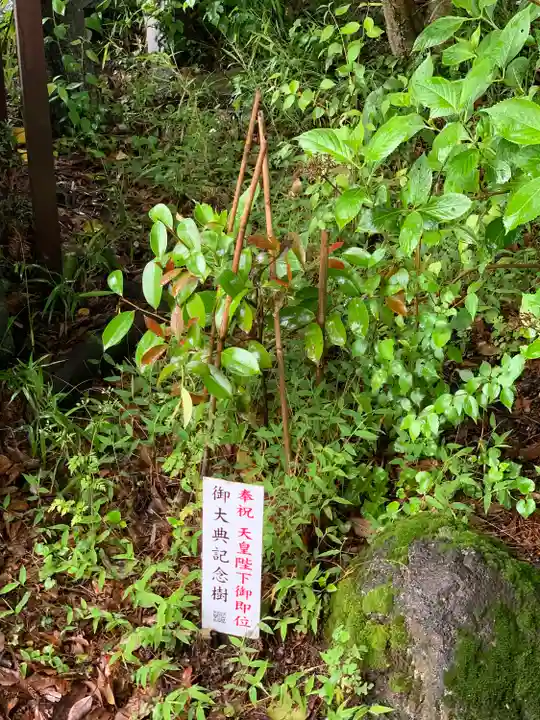 山神神社の自然