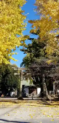 下総府中六所神社の鳥居