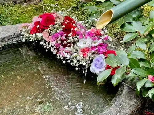 仙台大神宮の{uncategorized: "未分類", other: "その他", undefined: "問題あり", building: "その他建物", grave: "お墓", sacred_gate: "鳥居", guardian: "狛犬", statue: "像", buddha: "仏像", history: "歴史", nature: "自然", garden: "庭園", animal: "動物", pagoda: "塔", temizu: "手水舎", mountain_gate: "山門・神門", sanctuary: "本殿・本堂", subordinate: "末社・摂社", art: "芸術", scenery: "景色", jizo: "地蔵", ema: "絵馬", goshuin: "御朱印", omikuji: "おみくじ", items: "授与品その他", amulet: "お守り", goshuincho: "御朱印帳", eats: "食事", festival: "お祭り", votive_dance: "神楽", shichigosan: "七五三参", wedding: "結婚式", experience: "体験その他", initially: "初詣", around: "周辺", anti_infection: "感染症対策"}