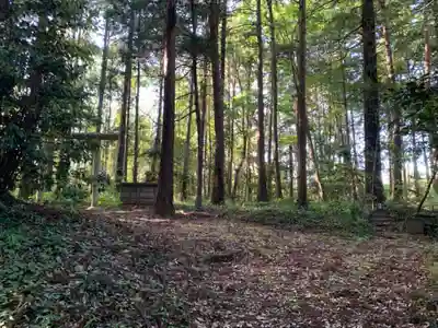 中根鳥見神社の周辺