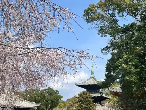 道成寺(和歌山県)
