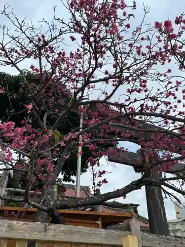 普天満宮の{uncategorized: "未分類", other: "その他", undefined: "問題あり", building: "その他建物", grave: "お墓", sacred_gate: "鳥居", guardian: "狛犬", statue: "像", buddha: "仏像", history: "歴史", nature: "自然", garden: "庭園", animal: "動物", pagoda: "塔", temizu: "手水舎", mountain_gate: "山門・神門", sanctuary: "本殿・本堂", subordinate: "末社・摂社", art: "芸術", scenery: "景色", jizo: "地蔵", ema: "絵馬", goshuin: "御朱印", omikuji: "おみくじ", items: "授与品その他", amulet: "お守り", goshuincho: "御朱印帳", eats: "食事", festival: "お祭り", votive_dance: "神楽", shichigosan: "七五三参", wedding: "結婚式", experience: "体験その他", initially: "初詣", around: "周辺", anti_infection: "感染症対策"}
