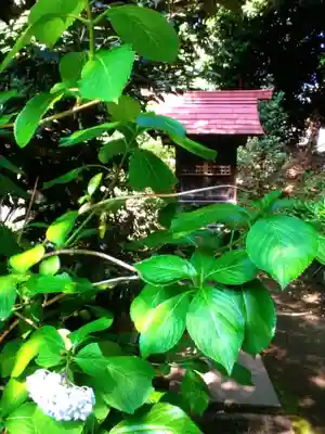 渋谷氷川神社(東京都)