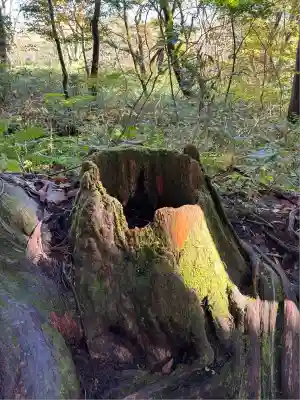 戸隠神社奥社(長野県)