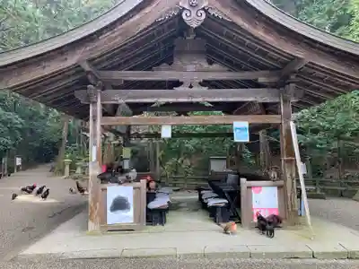 石上神宮(奈良県)