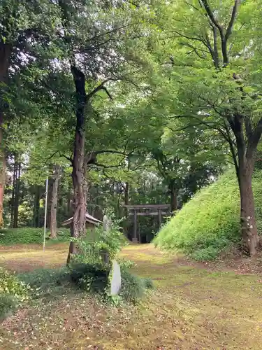 楠木神社の自然
