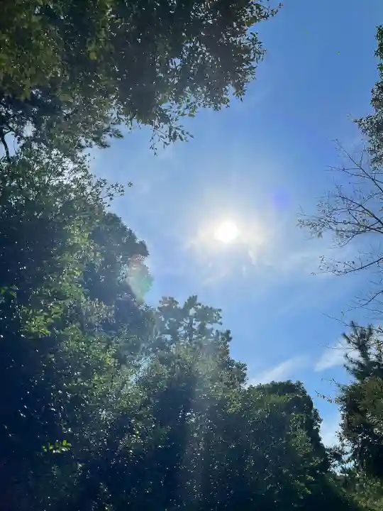 寒川神社の自然