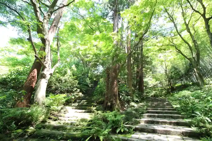 瑞泉寺(神奈川県)