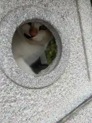 織幡神社(福岡県)