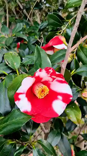 検見川神社の自然