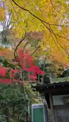 長楽寺(京都府)