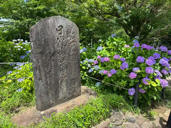 本土寺(千葉県)