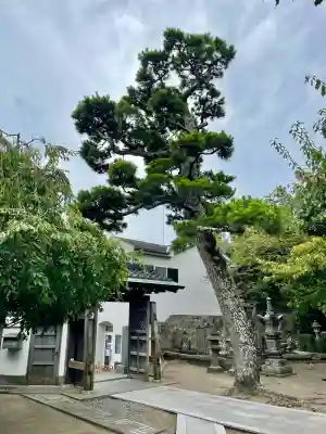 地福寺(神奈川県)