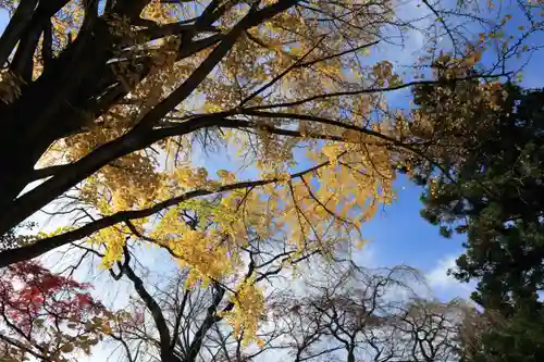 神炊館神社 ⁂奥州須賀川総鎮守⁂の景色