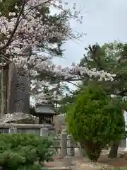 豊景神社の自然