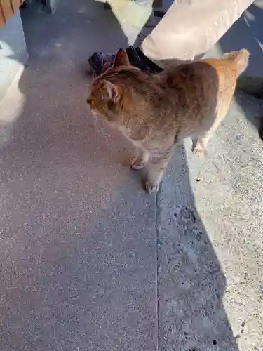 真野寺(千葉県)