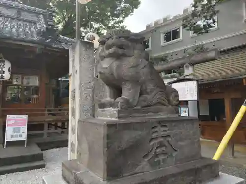 川越熊野神社の狛犬