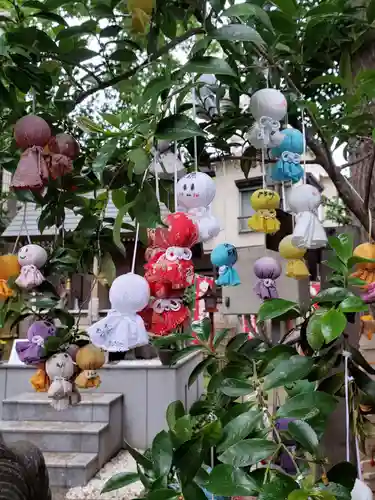 高円寺氷川神社のおみくじ