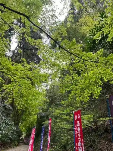 清水寺の{uncategorized: "未分類", other: "その他", undefined: "問題あり", building: "その他建物", grave: "お墓", sacred_gate: "鳥居", guardian: "狛犬", statue: "像", buddha: "仏像", history: "歴史", nature: "自然", garden: "庭園", animal: "動物", pagoda: "塔", temizu: "手水舎", mountain_gate: "山門・神門", sanctuary: "本殿・本堂", subordinate: "末社・摂社", art: "芸術", scenery: "景色", jizo: "地蔵", ema: "絵馬", goshuin: "御朱印", omikuji: "おみくじ", items: "授与品その他", amulet: "お守り", goshuincho: "御朱印帳", eats: "食事", festival: "お祭り", votive_dance: "神楽", shichigosan: "七五三参", wedding: "結婚式", experience: "体験その他", initially: "初詣", around: "周辺", anti_infection: "感染症対策"}