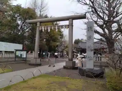 浅草神社の鳥居