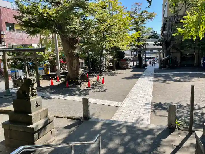 亀岡八幡宮(亀岡八幡神社)(神奈川県)
