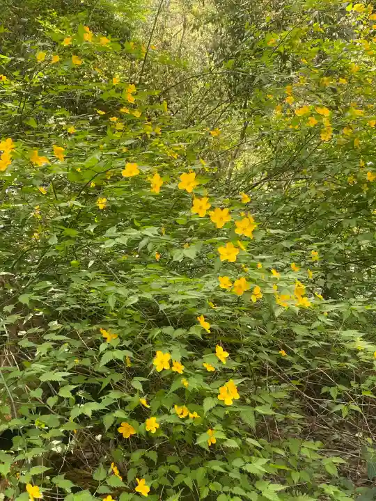 施福寺の{uncategorized: "未分類", other: "その他", undefined: "問題あり", building: "その他建物", grave: "お墓", sacred_gate: "鳥居", guardian: "狛犬", statue: "像", buddha: "仏像", history: "歴史", nature: "自然", garden: "庭園", animal: "動物", pagoda: "塔", temizu: "手水舎", mountain_gate: "山門・神門", sanctuary: "本殿・本堂", subordinate: "末社・摂社", art: "芸術", scenery: "景色", jizo: "地蔵", ema: "絵馬", goshuin: "御朱印", omikuji: "おみくじ", items: "授与品その他", amulet: "お守り", goshuincho: "御朱印帳", eats: "食事", festival: "お祭り", votive_dance: "神楽", shichigosan: "七五三参", wedding: "結婚式", experience: "体験その他", initially: "初詣", around: "周辺", anti_infection: "感染症対策"}