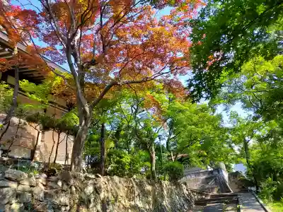 円満寺の{uncategorized: "未分類", other: "その他", undefined: "問題あり", building: "その他建物", grave: "お墓", sacred_gate: "鳥居", guardian: "狛犬", statue: "像", buddha: "仏像", history: "歴史", nature: "自然", garden: "庭園", animal: "動物", pagoda: "塔", temizu: "手水舎", mountain_gate: "山門・神門", sanctuary: "本殿・本堂", subordinate: "末社・摂社", art: "芸術", scenery: "景色", jizo: "地蔵", ema: "絵馬", goshuin: "御朱印", omikuji: "おみくじ", items: "授与品その他", amulet: "お守り", goshuincho: "御朱印帳", eats: "食事", festival: "お祭り", votive_dance: "神楽", shichigosan: "七五三参", wedding: "結婚式", experience: "体験その他", initially: "初詣", around: "周辺", anti_infection: "感染症対策"}