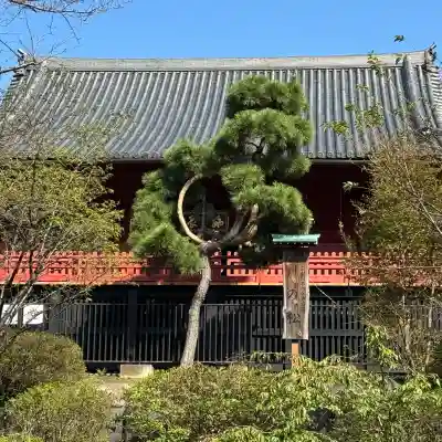 清水観音堂(東京都)