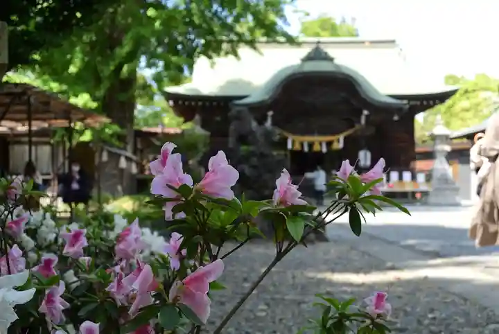 菊田神社(千葉県)