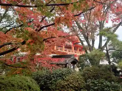 千葉神社(千葉県)