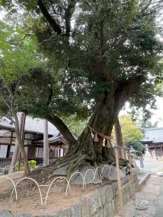 豊川進雄神社(愛知県)