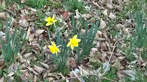 子松神社・荒神社(宮城県)