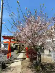 大野神社(埼玉県)