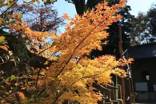 長屋神社の庭園